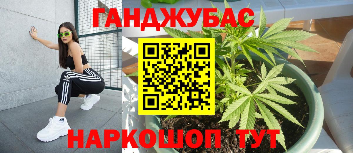 Канабис план Краснознаменск
